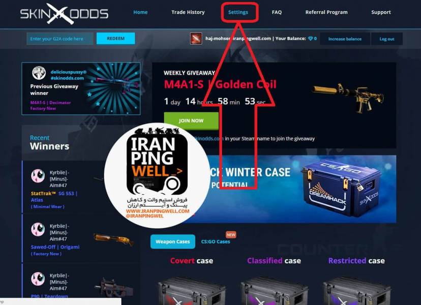 آموزش استفاده از رندوم اسکین کیس