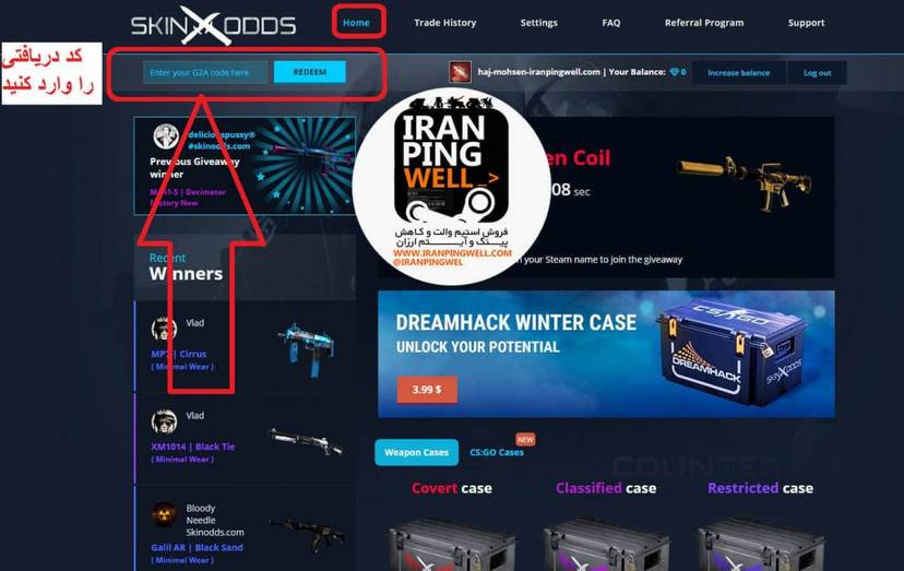 آموزش استفاده از رندوم اسکین کیس